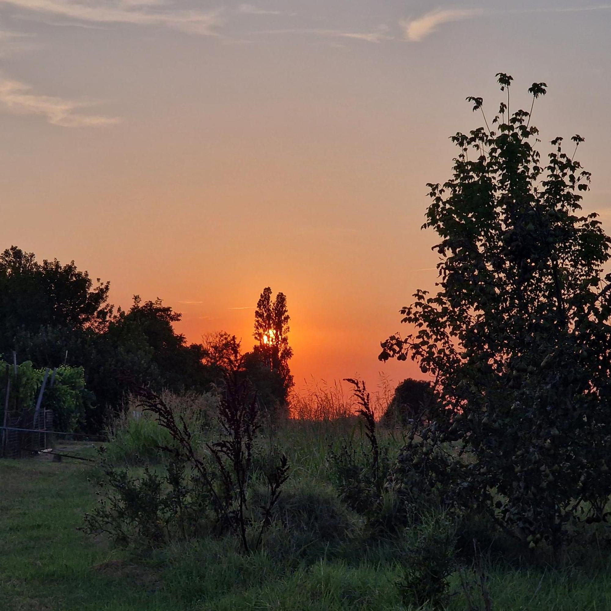 Appartamento Divino Tramonto Altedo Εξωτερικό φωτογραφία