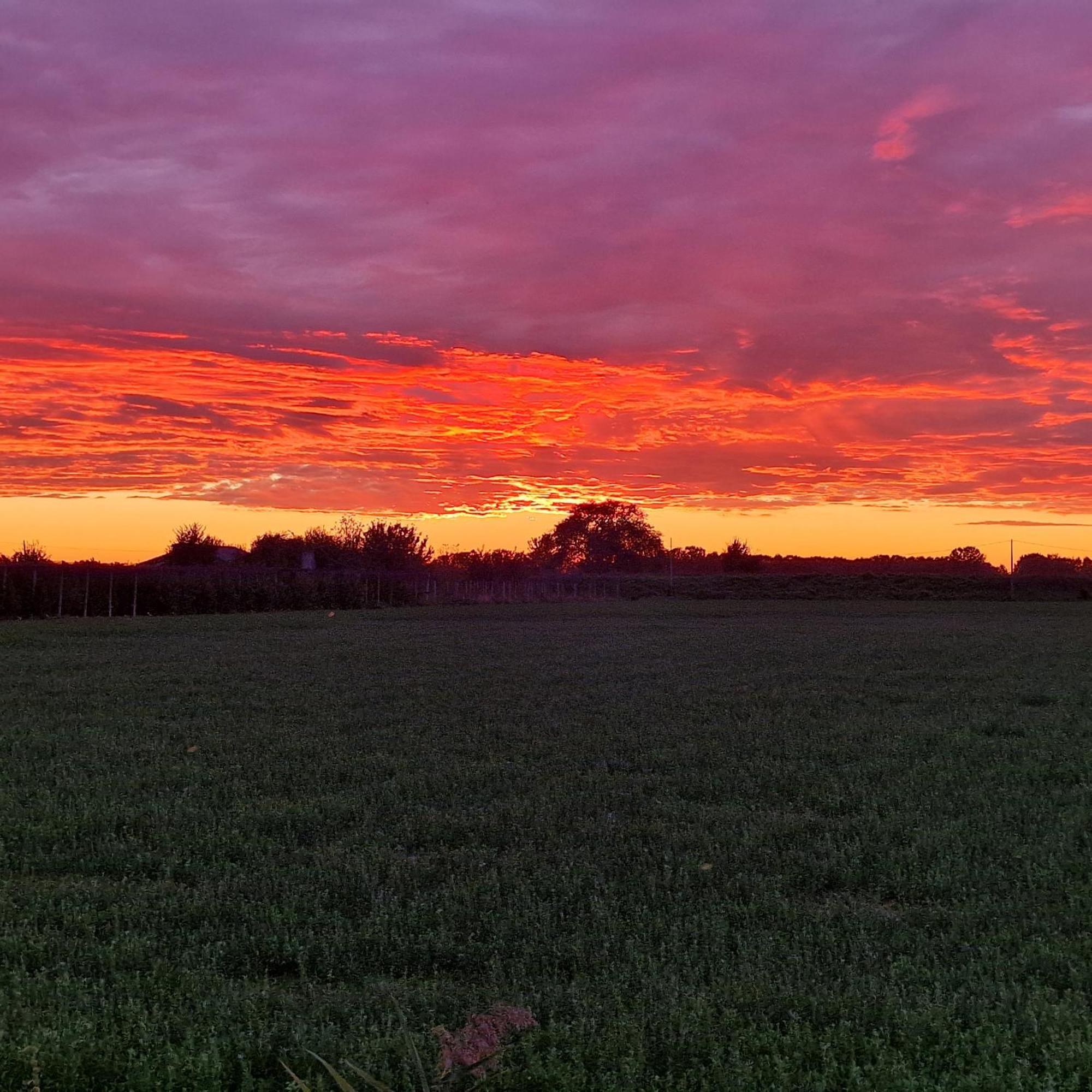 Appartamento Divino Tramonto Altedo Εξωτερικό φωτογραφία